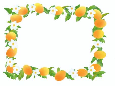 Biwa flower frame, JPG and PNG Biwa flower frame, biwa, real, flower, JPG and PNG