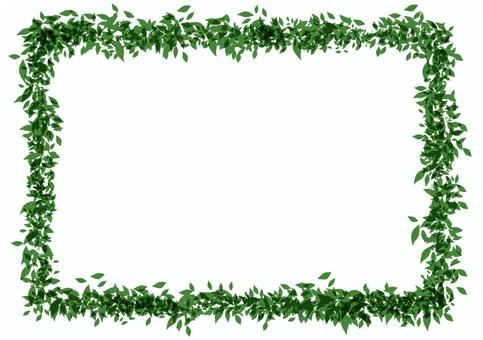 leaf frame, leaf, grass, green, JPG and PNG