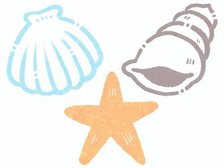 貝殻とヒトデ 貝殻,貝,ヒトデ,ビーチ,海辺,海,マリン,夏,生き物,自然のイラスト素材