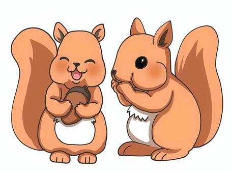 リス② リス,秋,どんぐり,動物,可愛い,2匹のイラスト素材