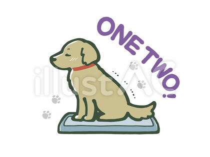 犬のしつけ(トイレ)