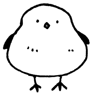 シマエナガ1 シマエナガ,鳥,北海道,野鳥,生き物,動物,冬,自然,森,山のイラスト素材