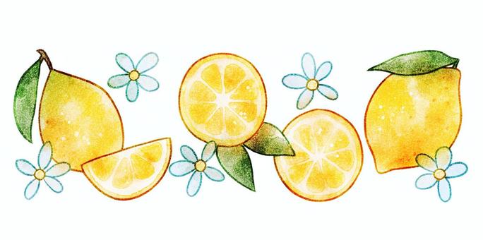 lemon & cut lemon, zitrone, schneiden, aquarell, JPG and PNG