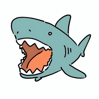 サメ サメ,猛獣,生き物,動物,哺乳類,ヒレ,エラ,牙,怖い,強いのイラスト素材