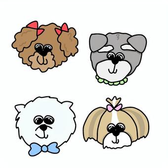 Illustration, un chien, poodle de jouet, schnauzer, 