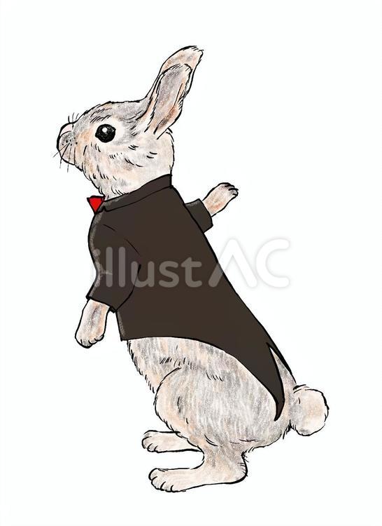 正装したウサギ ウサギ,正装,耳のイラスト素材