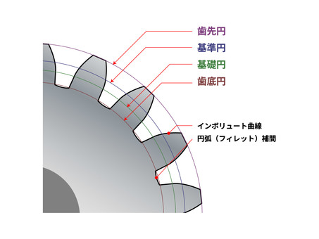 歯先円・基準円・基礎円・歯底円入り歯車図 歯車,ギア,歯車図,歯先円,基準円,基礎円,歯底円,インボリュート曲線,フィレット補間,工学のイラスト素材