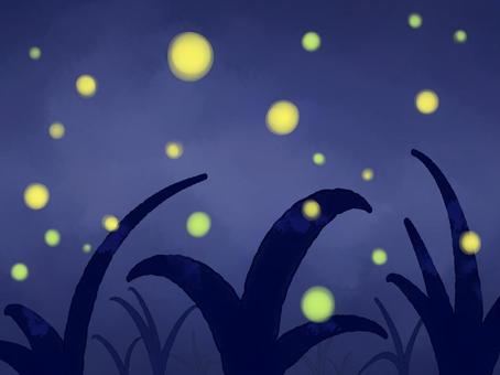 ホタル ホタル 蛍,草,夜のイラスト素材