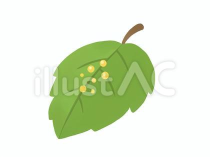 やくそう アイコン