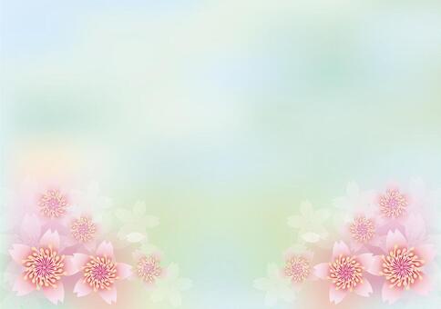 Illustration, flower, cherry blossoms, spring, JPG and AI