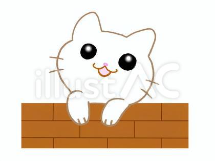 塀から身を乗り出している白猫のイラスト