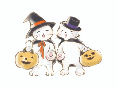 ハロウィンのお菓子をもらう猫たち 猫,ハロウィン,かぼちゃ,10月,秋,トリックオアトリート,イベント,仮装,コスプレ,魔女のイラスト素材