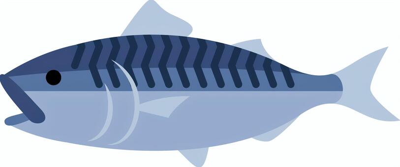 鯖（サバ） 鯖,サバ,魚,海,海洋,海洋生物,魚類,生き物,動物,食べ物のイラスト素材