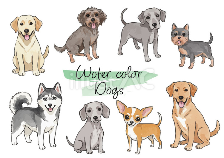 子犬のイラストまとめ 水彩,シベリアンハスキー,チワワのイラスト素材