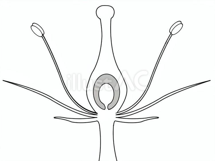 植物の花のつくり 理科,生物,植物のイラスト素材