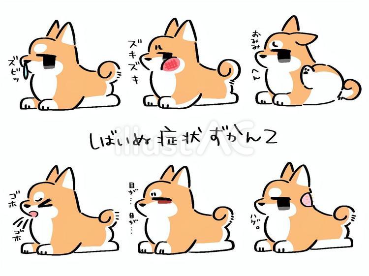 しばいぬ症状ずかん2 犬,柴犬,動物のイラスト素材