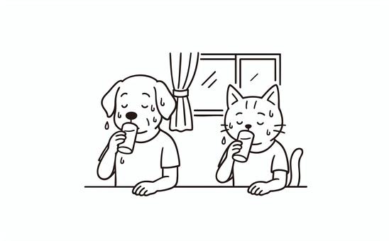 Illustration, heatstroke, a pet, heat, 