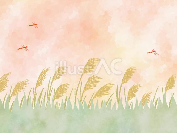 秋の景色 赤とんぼ,秋あかね,すすきのイラスト素材