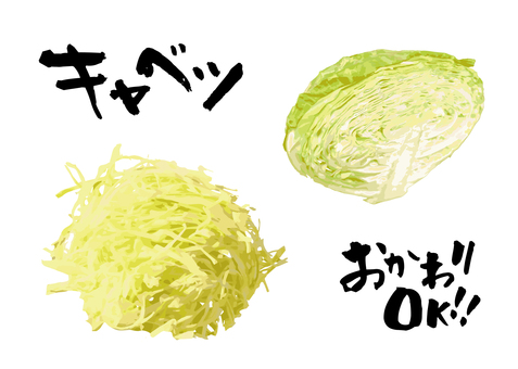 キャベツ キャベツ,千切り,半切り,半分,断面,調理,食材,野菜,素材,背景透過のイラスト素材