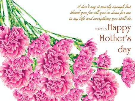 Carnation message card 2, JPG and PNG Carnation message card 2, , JPG and PNG