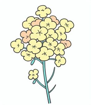 菜の花の手描きイラスト2 菜の花,春,花,手描き,かわいい,植物,生き物,挿絵,単品のイラスト素材
