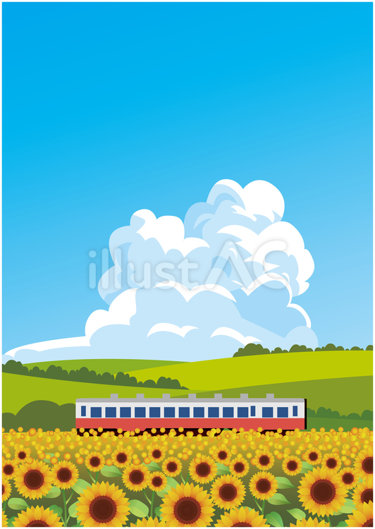 夏の田舎風景 夏,ひまわり,夏季のイラスト素材