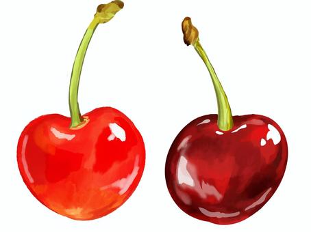 チェリー2種 さくらんぼ,食べ物,アメリカンチェリー,赤い,果実のイラスト素材