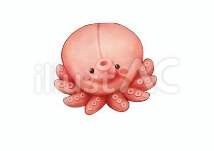 タコ ぬいぐるみイラスト