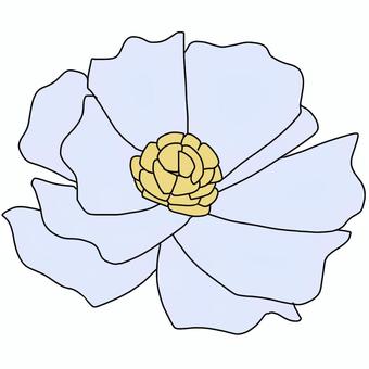 simple white flower color illustration, , JPG and PNG