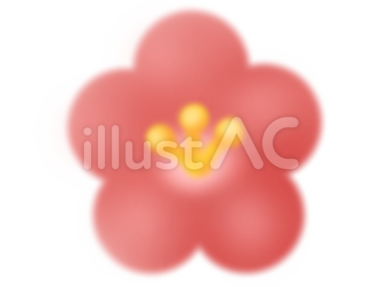 梅の花 寒中,松竹梅,寒中見舞いのイラスト素材
