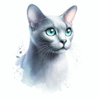 コラット コラット 動物,猫科,毛皮のイラスト素材