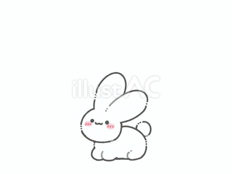 伏せている白うさぎ うさぎ,伏せ,白のイラスト素材