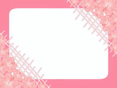 hibiscus fence wallpaper frame pink, summer, hibiscus, fence, JPG, PNG and EPS