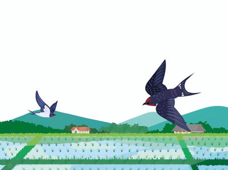 Illustration, summer, early summer, field, 