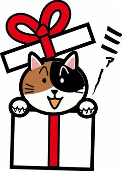 猫プレゼント