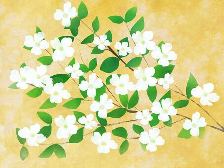 Flower water tree background luxury, JPG Flower water tree background luxury, flower tree, flower, card, JPG