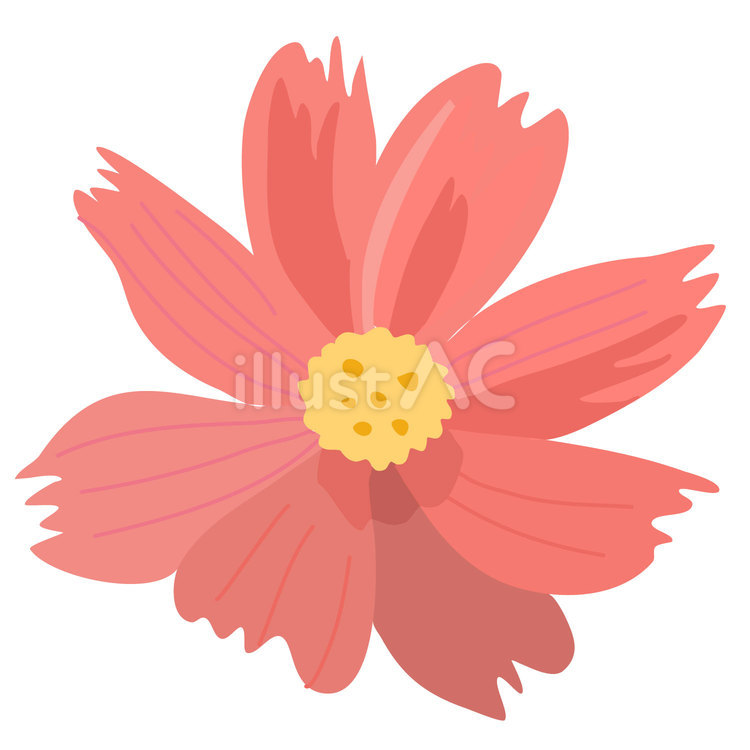 秋の素材24＿コスモス 秋,花,コスモスのイラスト素材