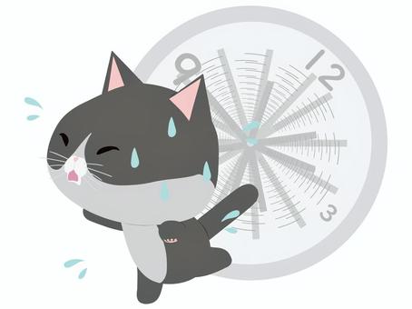 忙しい_猫 忙しい,猫,はちわれ,動物,かわいい,時間,遅刻のイラスト素材