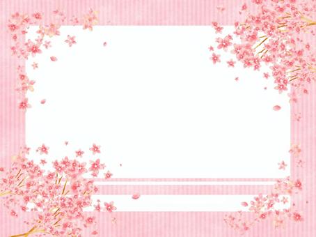 Illustration, cherry blossoms, cherry blossoms, cherry-blossom viewing, JPG and PNG