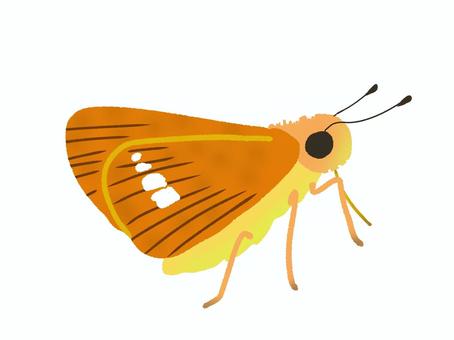 イチモンジセセリ 生き物,昆虫,虫,ちょう,イチモンジセセリ,小さい,かわいい,オリジナル,イラスト,挿し絵のイラスト素材