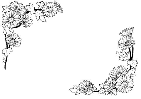 小菊の角フレーム2種 墨筆 小菊の角フレーム2種 墨筆 小菊,菊,花,植物,秋,葉,お彼岸,仏花,お供え,黄色のイラスト素材