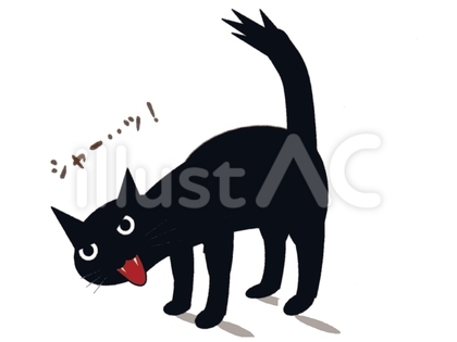 うちのにゃン子 「やるのか~!」