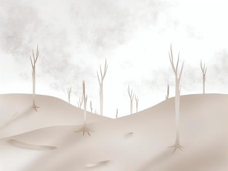 deforestation, JPG deforestation, dead tree, desert, nature is broken, JPG