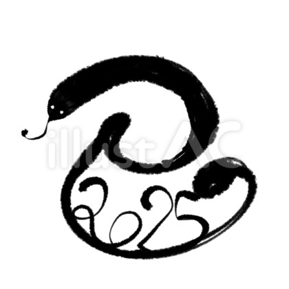 巳(2025)筆文字