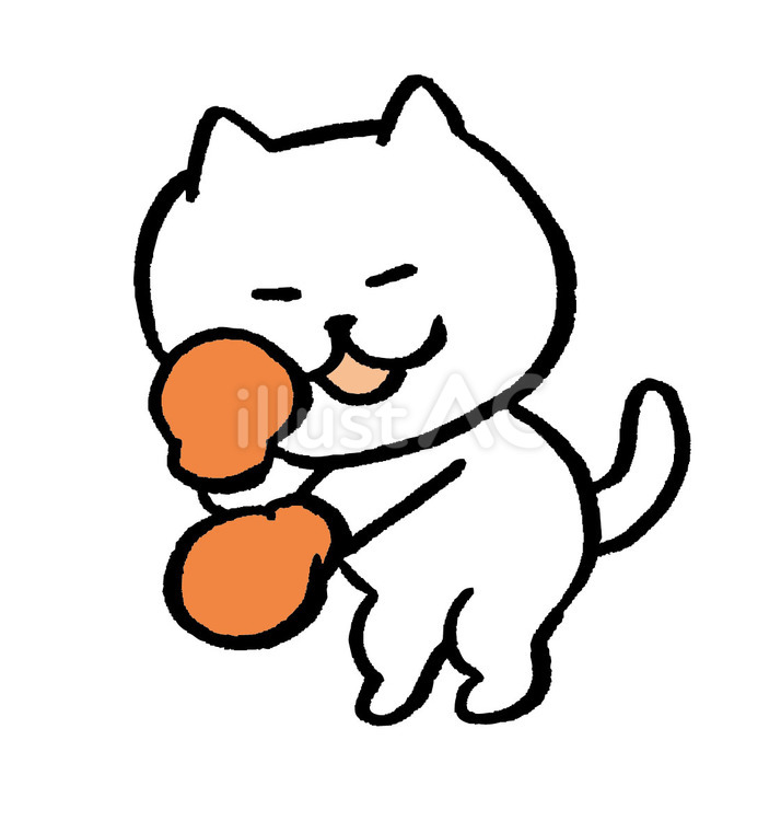 猫　ボクシング 猫,白猫,動物のイラスト素材