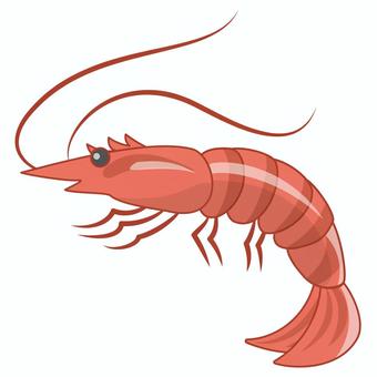 蝦, JPG, PNG 和 AI 蝦, 按钮虾, 甜虾, 甲壳动物, JPG, PNG 和 AI