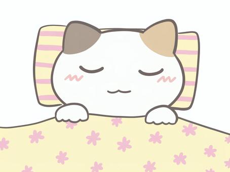 A calico cat that sleeps comfortably, , JPG