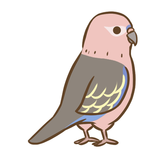 アキクサインコ6（ノーマル） アキクサインコ,インコ,鳥,ペット,デフォルメ,生き物,動物,かわいい,アイコンのイラスト素材