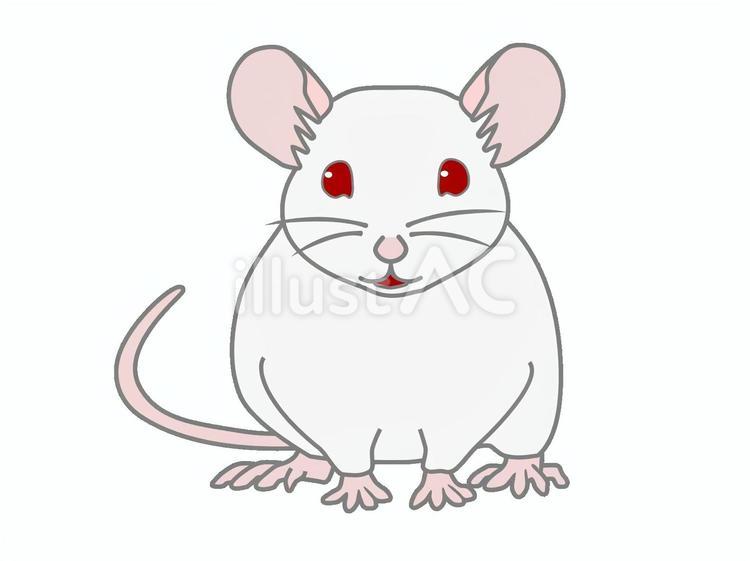マウス22 マウス,ラット,ネズミのイラスト素材