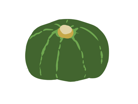 かぼちゃ かぼちゃ,南瓜,瓜,野菜,食べ物,食材,夏,秋,ハロウィン,旬のイラスト素材
